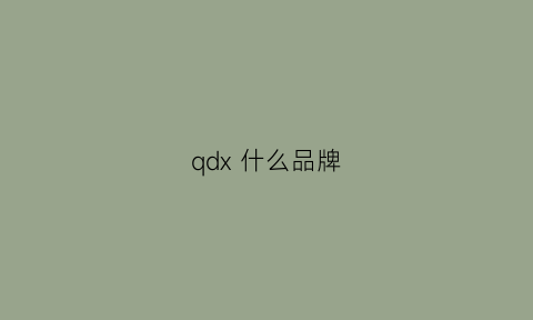 qdx 什么品牌